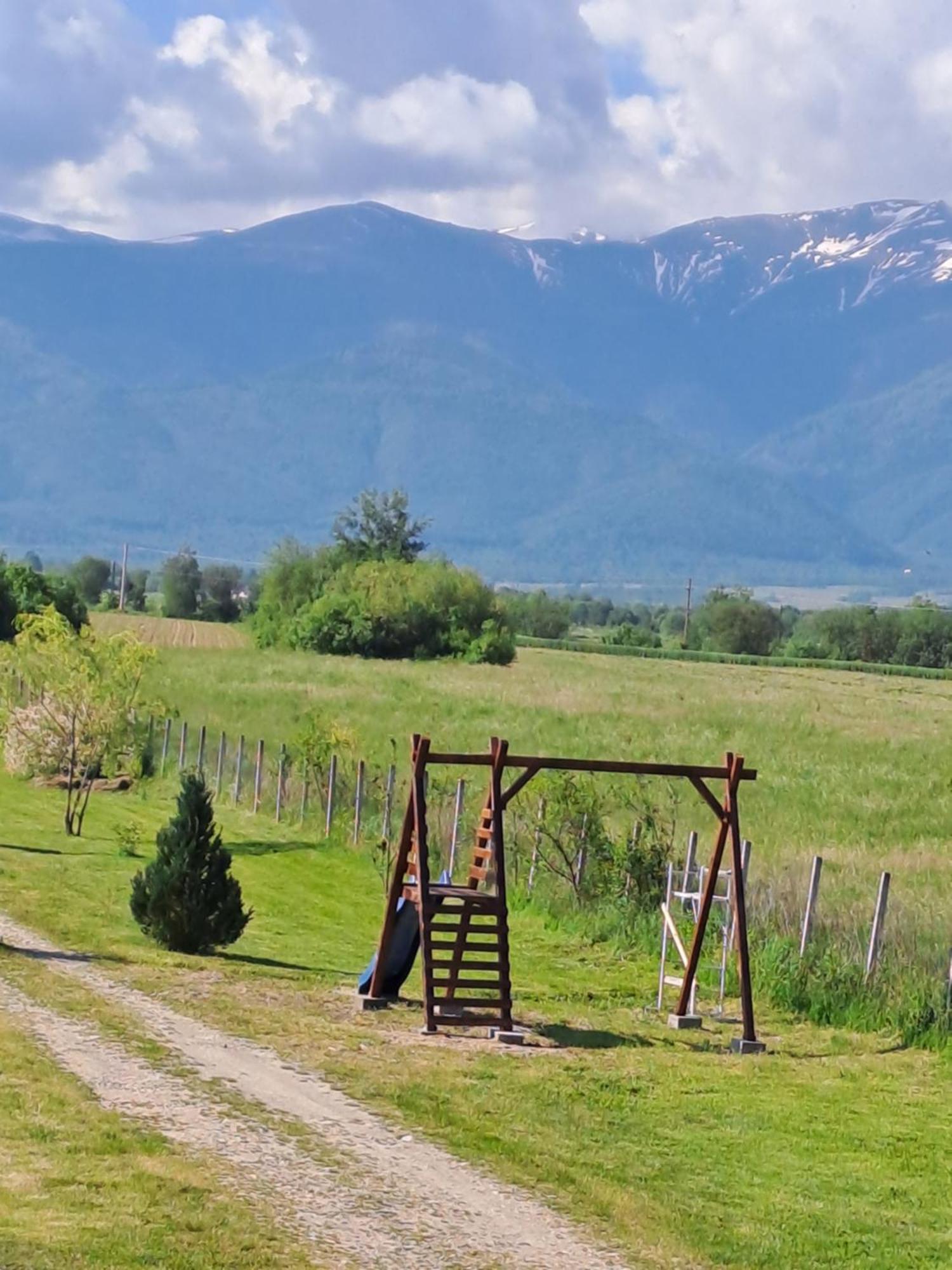 La Izvoare Pensiune-Pastravarie Simbata de Sus Exterior photo