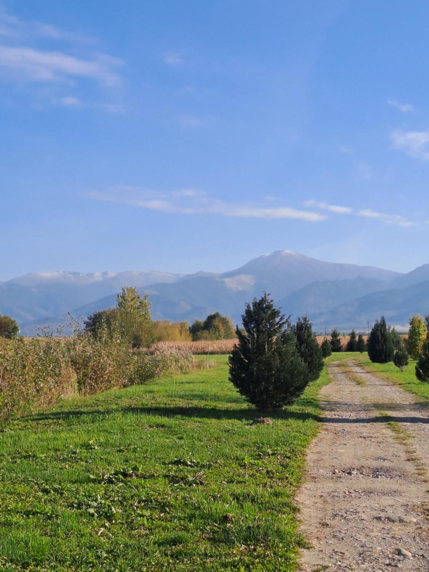 La Izvoare Pensiune-Pastravarie Simbata de Sus Exterior photo