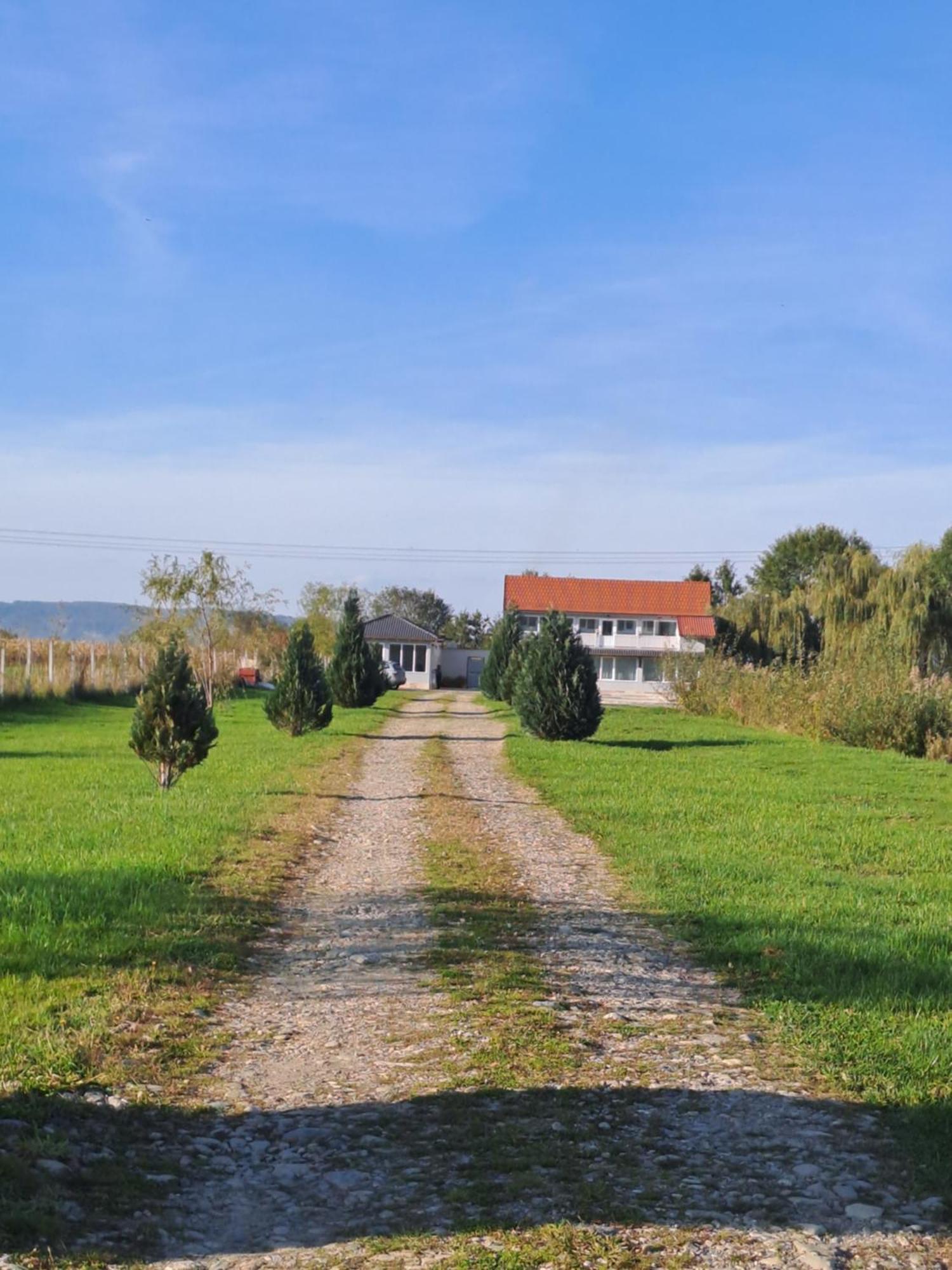La Izvoare Pensiune-Pastravarie Simbata de Sus Room photo