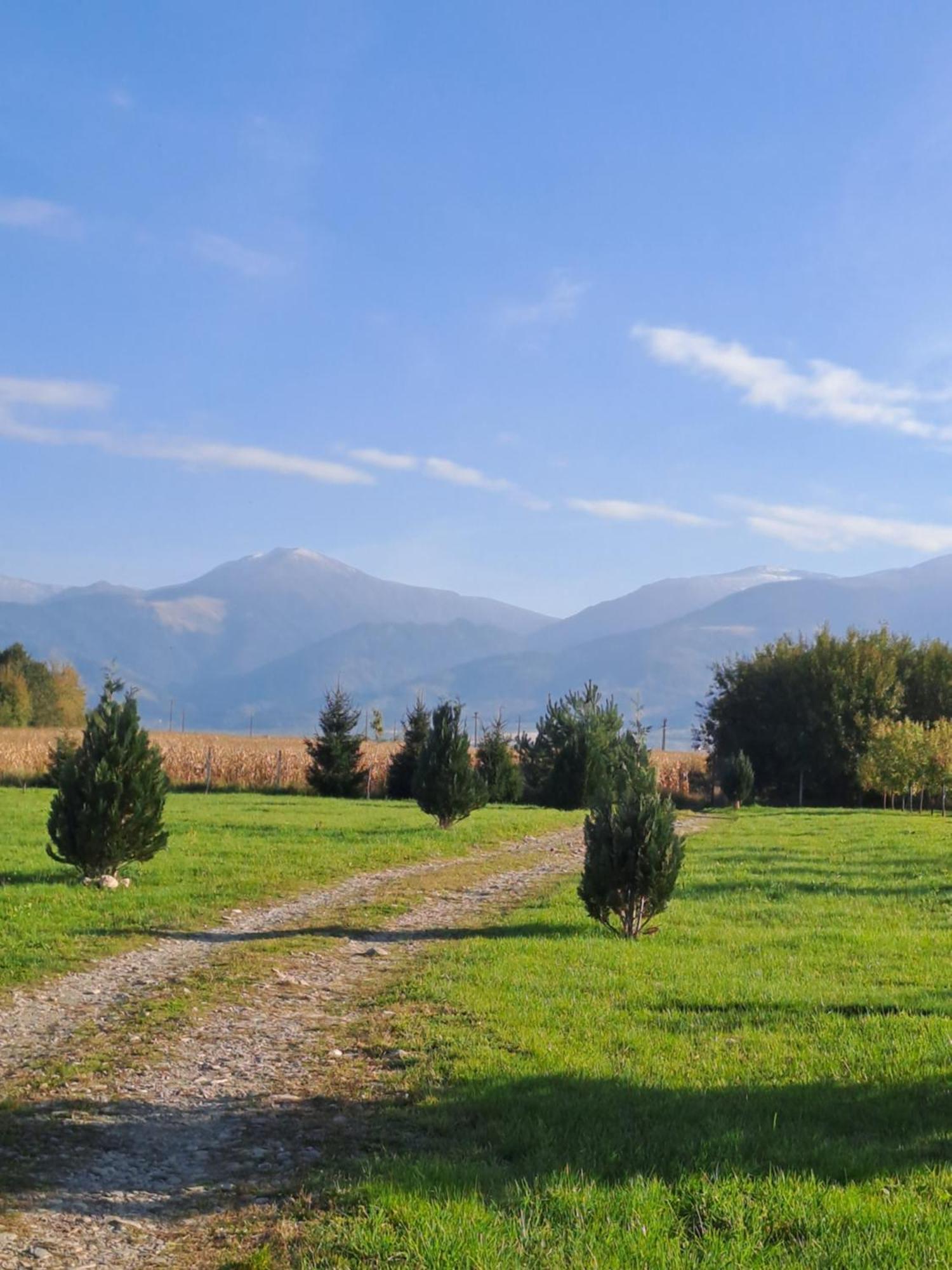 La Izvoare Pensiune-Pastravarie Simbata de Sus Room photo