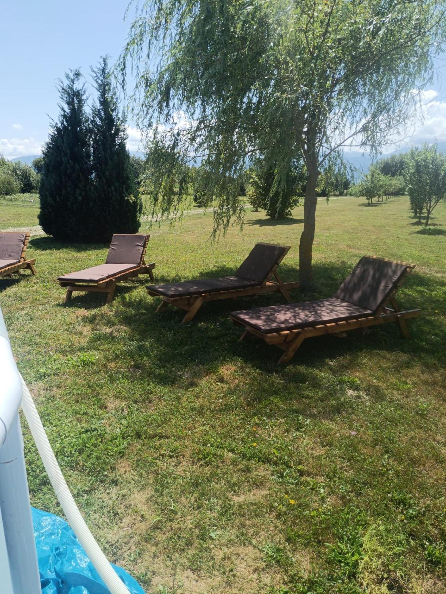 La Izvoare Pensiune-Pastravarie Simbata de Sus Exterior photo